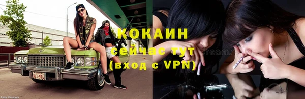 СК Волоколамск