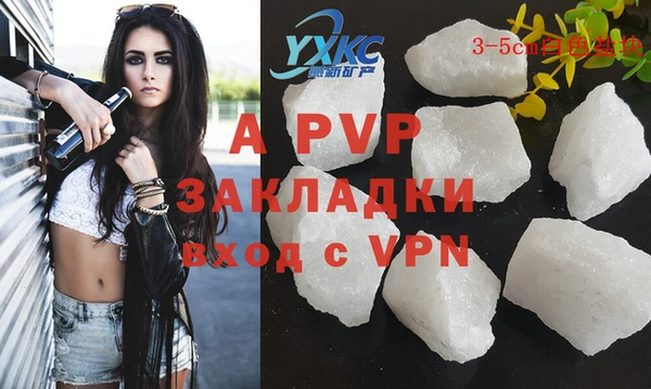СК Волоколамск