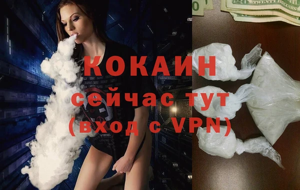 СК Волоколамск