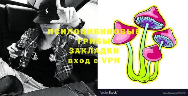 СК Волоколамск