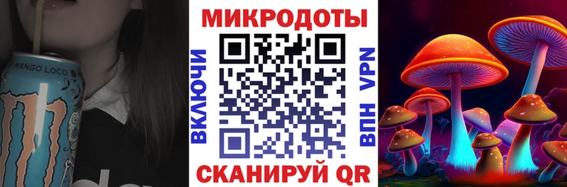 Купить где  Кувшиново  Галлюциногенные грибы Psilocybine cubensis 